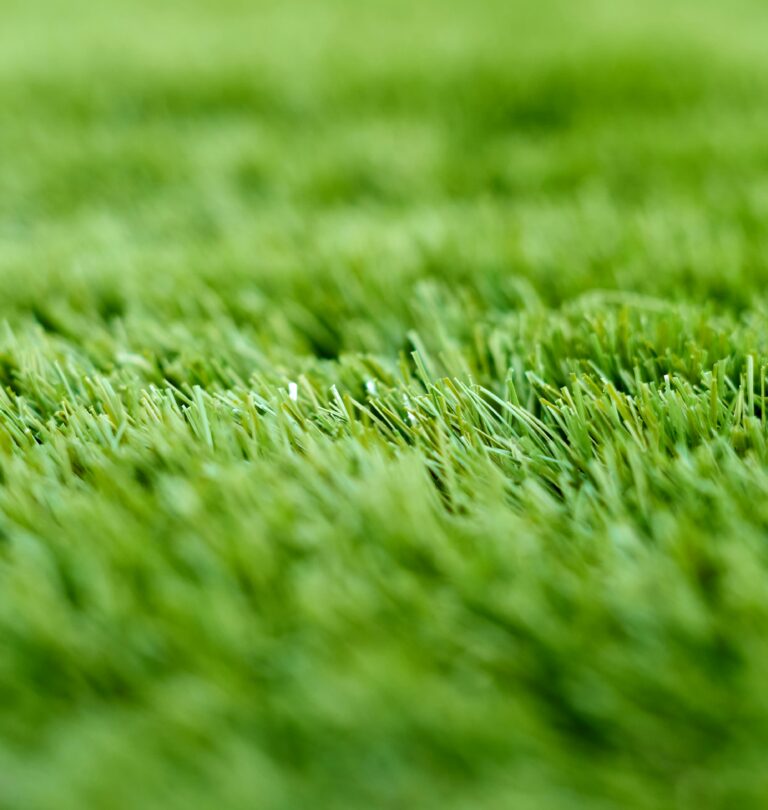Low-maintenance artificial turf being rinsed, illustrating long-term artificial turf maintenance cost