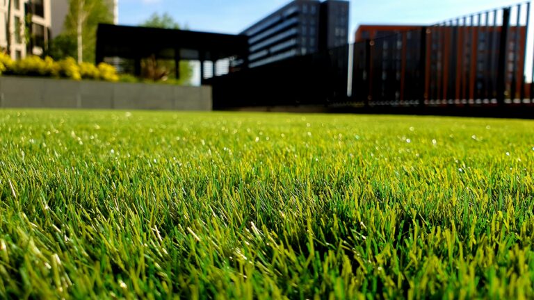 Water-wise artificial grass lawn in Phoenix that helps homeowners save money on water
