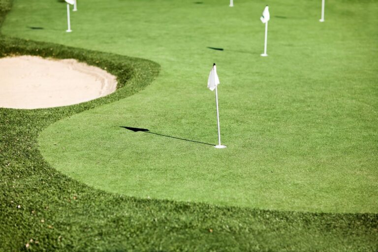 Backyard artificial putting green with flag in an Arizona yard