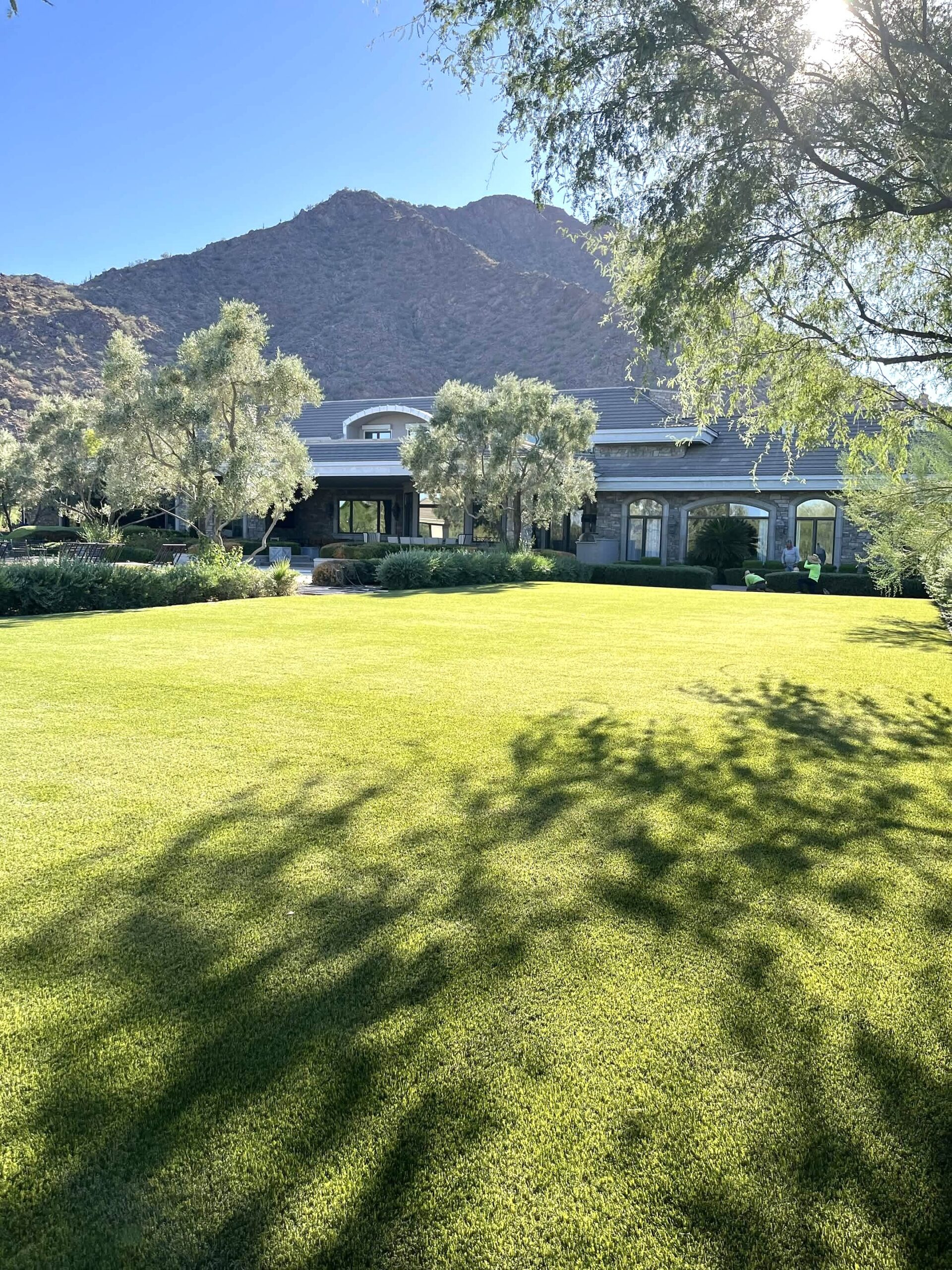 Artificial grass lawn installed by Turfscapes of Arizona in Phoenix