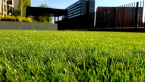 Green artificial turf lawn staying green through an Arizona winter