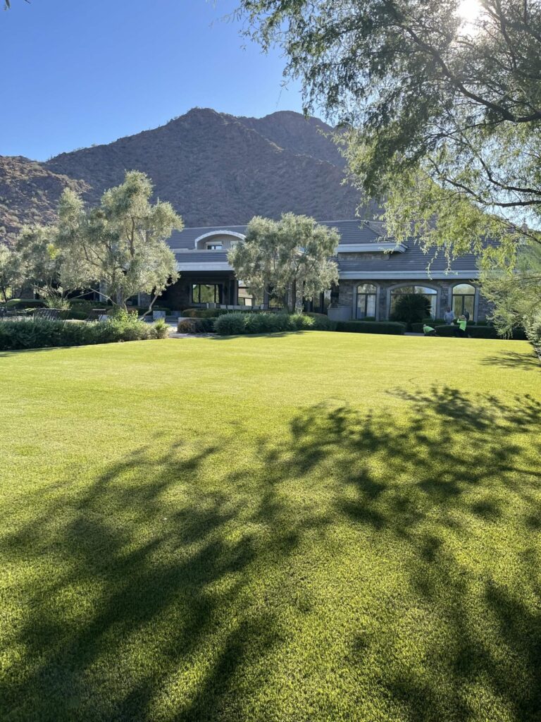 Artificial turf that is safe for pets and sports in a high end home located in Paradise Valley, Arizona.